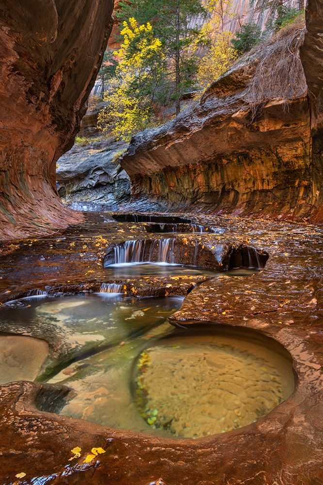 Emerald green pools in The Subway-Left Fork of North Creek-Zion National Park-Utah art print by Alan Majchrowicz for $57.95 CAD
